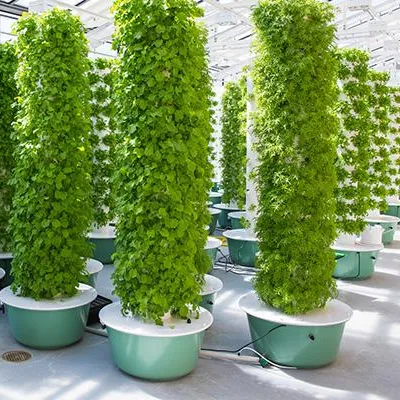 Hydroponic Tower - 조명이 있는 에어로포닉 타워 가든 시스템
