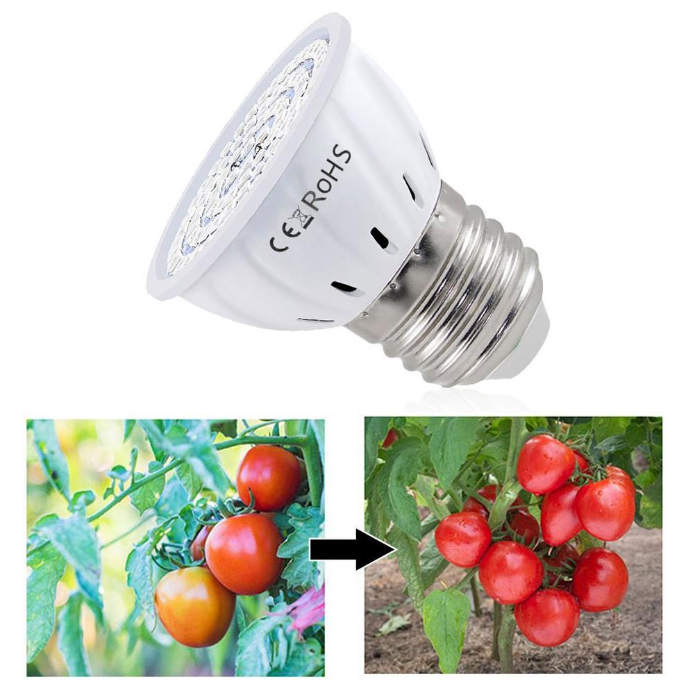 Plant Grow Light Full Spectrum - LED 성장 전구 E27 60 80LED