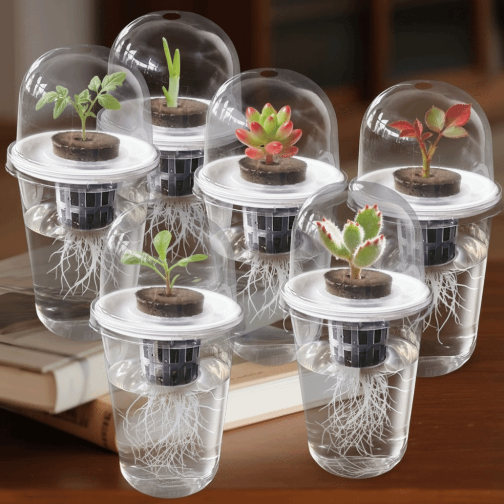 Hydroponic Grow Pod - 1-5개 투명 식물 발아컵 수경 재배