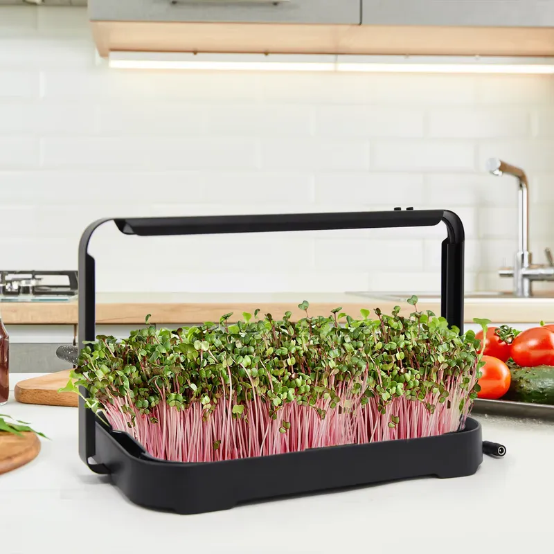 Smart Garden Kit - 수경재배 트레이 실내 마이크로그린 씨앗 새싹