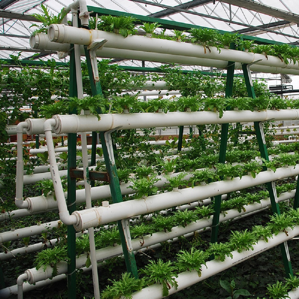 제조업체 무토양 재배 장비 DIY 수직 수경 파이프 심 - Hydroponic Tower 리뷰 및 가격