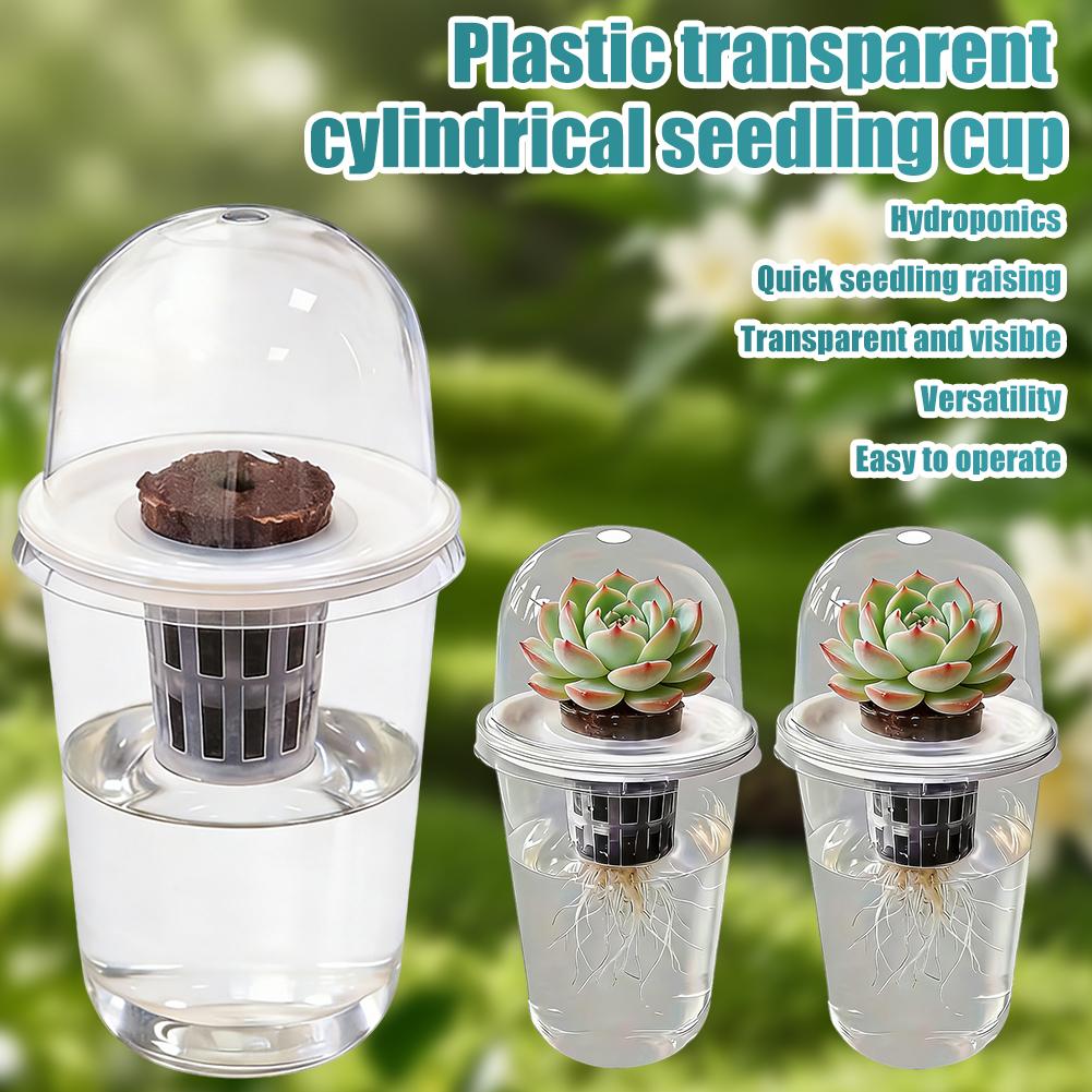 식물 채소 묘목 수경 재배 컵 투명 플라스틱 화분 온실 - Hydroponic Tower 리뷰 및 가격