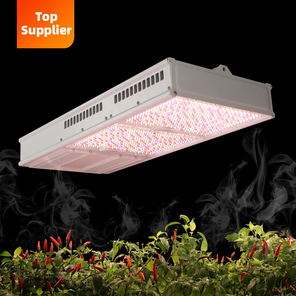 비용 효율적인 600W 800W 탑라이트 풀 스펙트럼  - Grow Light Led 리뷰 및 가격