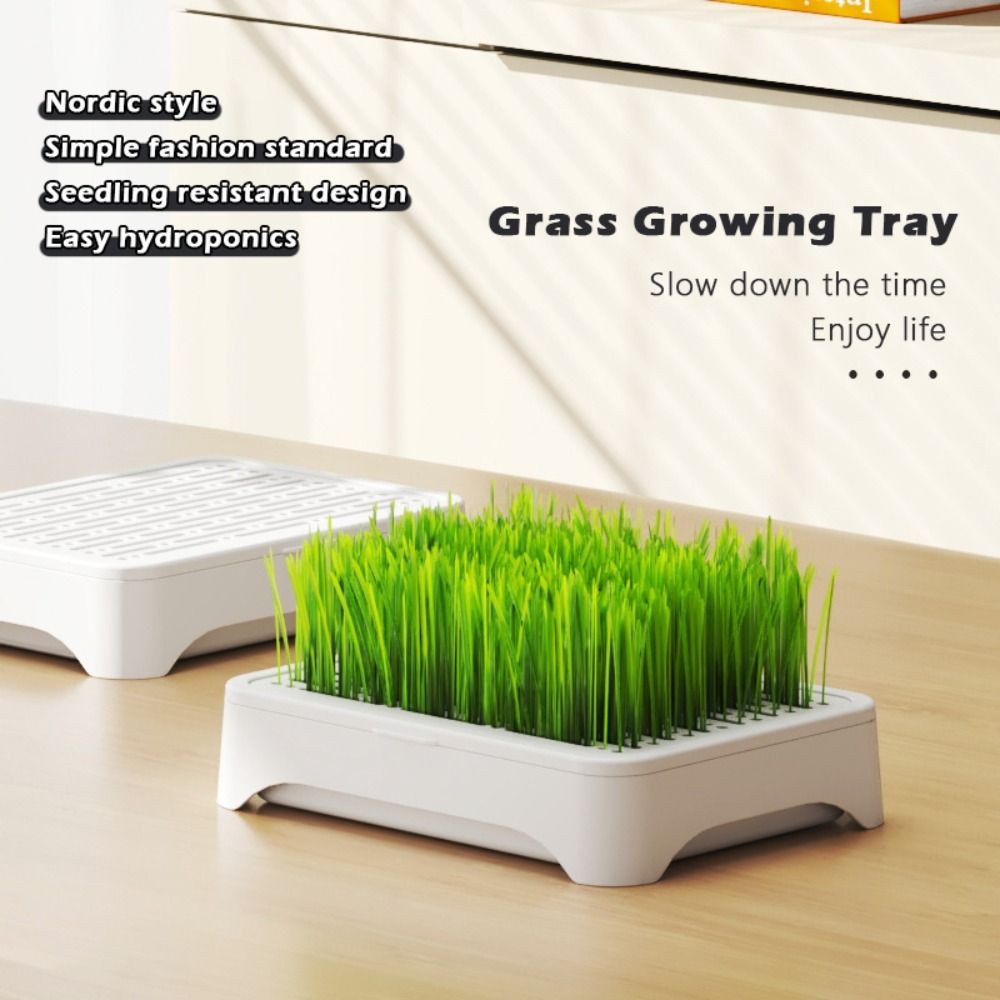 플라스틱 수경재배 씨앗 트레이, 재사용 가능한 고양이  - Hydroponic Grow Pod 리뷰 및 가격