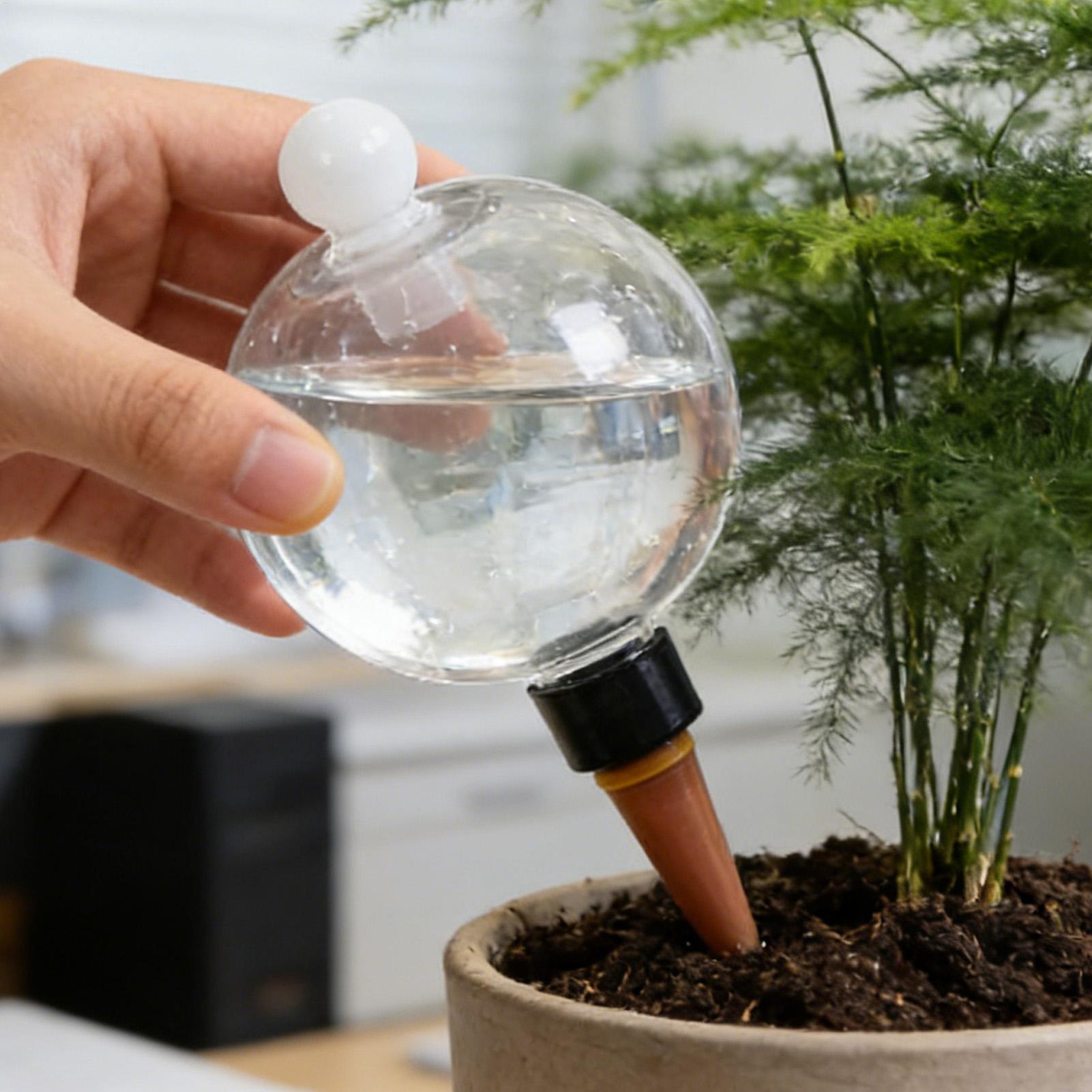 식물 급수용 전구 4개 500ml 투명 자동 급수 글로 - Plant Sensor 리뷰 및 가격