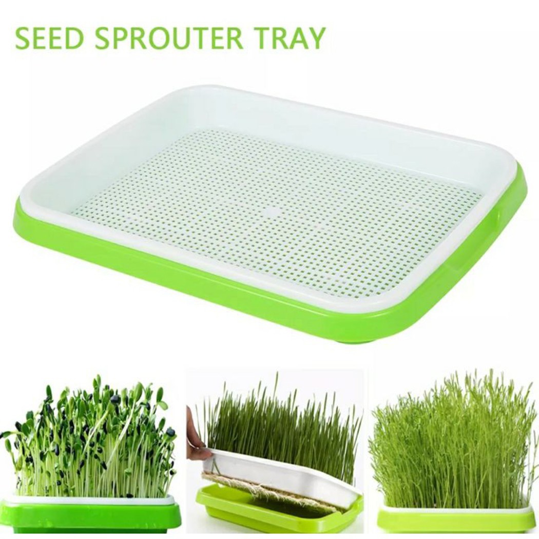 Microgreens Sprouter 트레이 수경/싹  - Hydroponic Grow Pod 리뷰 및 가격