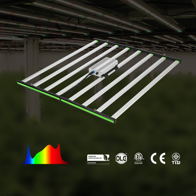 Lm301h Evo 281b 풀 스펙트럼 LED 식물  - Grow Light Led 리뷰 및 가격