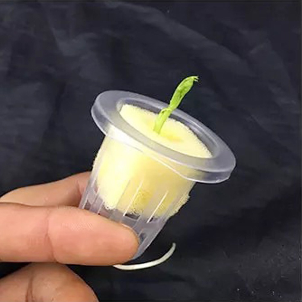 10개입 수경재배 메쉬컵 정원 에어로포닉 채소 묘목 화 - Hydroponic Grow Pod 리뷰 및 가격