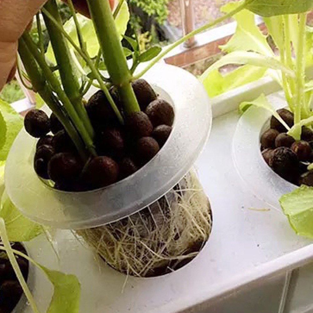 10개입 수경재배 메쉬컵 정원 에어로포닉 채소 묘목 화 - Hydroponic Grow Pod 리뷰 및 가격