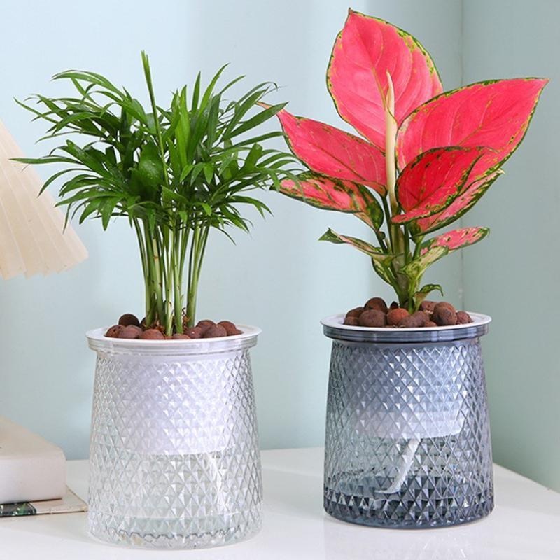 2024 투명 자체 급수 꽃 냄비 플라스틱 화분 홈 장 - Self Watering Planter 리뷰 및 가격