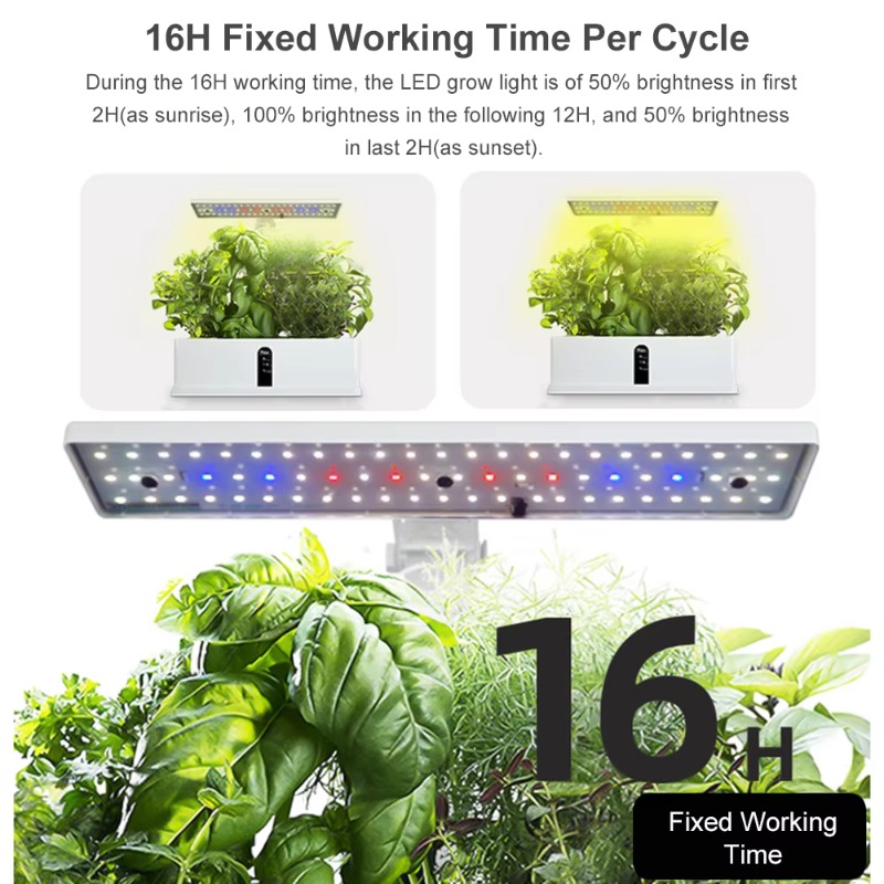 9포드 스마트 수경재배 시스템 실내 정원 키트 자동 타 - Smart Garden Kit 리뷰 및 가격