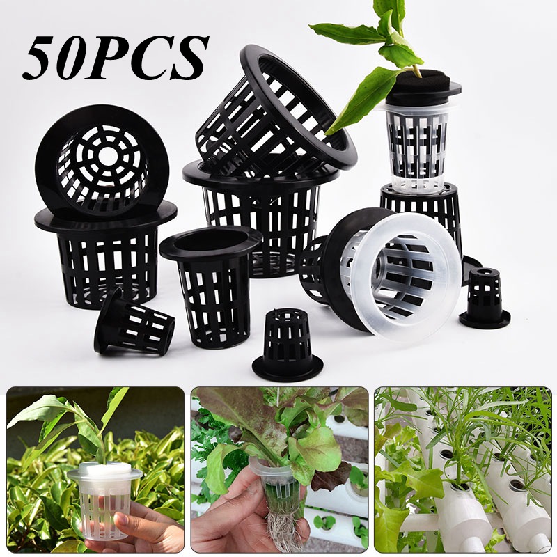 50개입 블랙 화이트 무토양 메쉬 식물 재배용 화분,  - Hydroponic Grow Pod 리뷰 및 가격