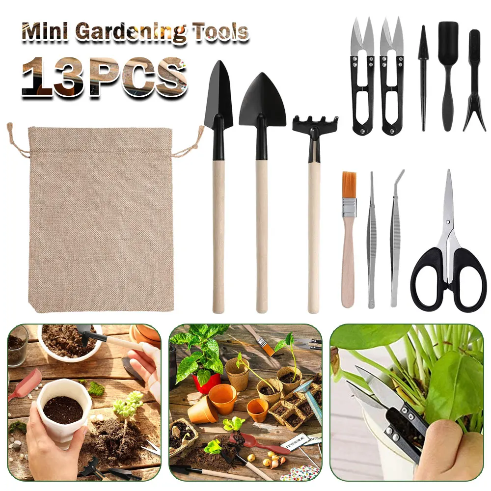 다육 식물 도구 세트, 실내 식물 가정 정원 키트, 검 - Indoor Garden Kit 리뷰 및 가격