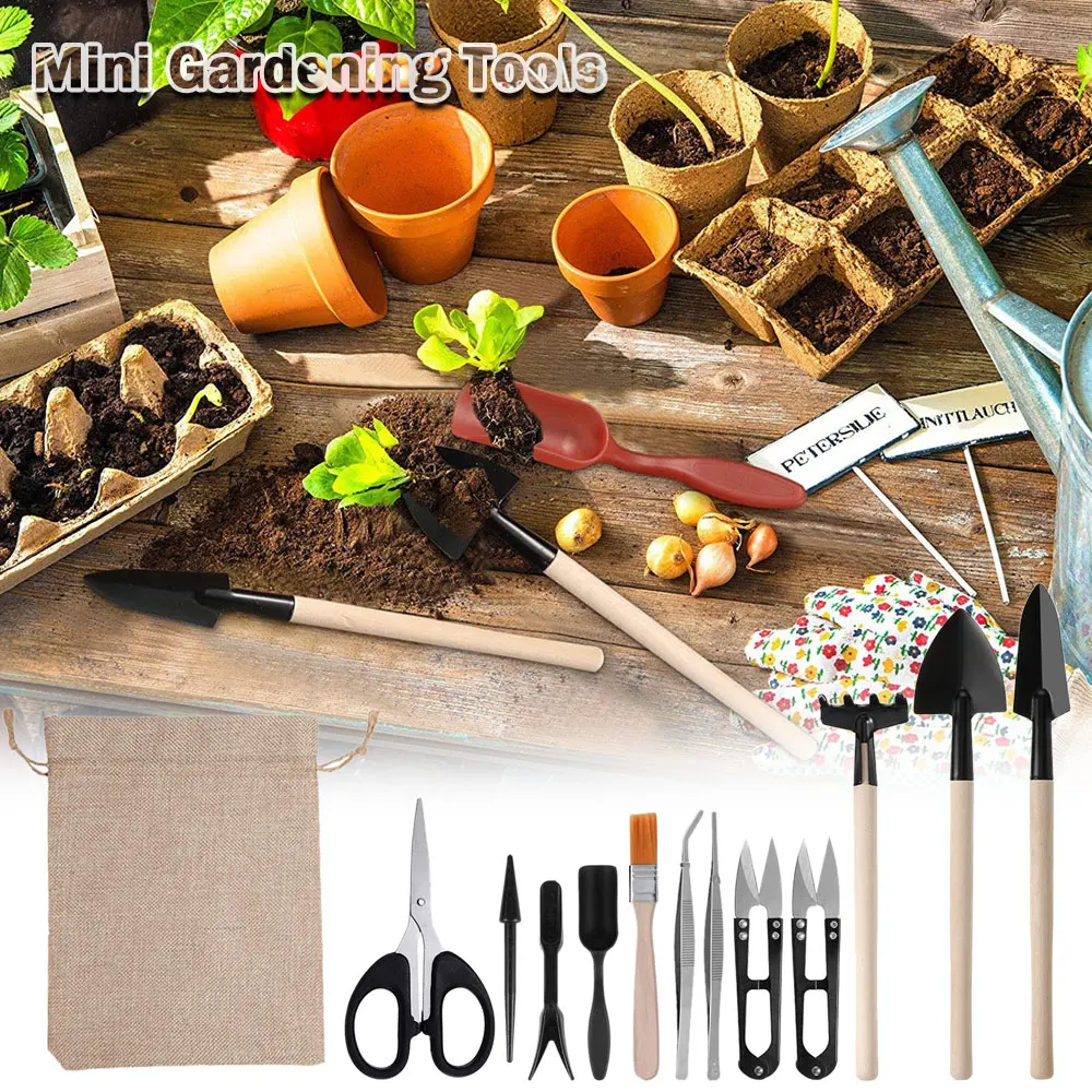 다육 식물 도구 세트, 실내 식물 가정 정원 키트, 검 - Indoor Garden Kit 리뷰 및 가격