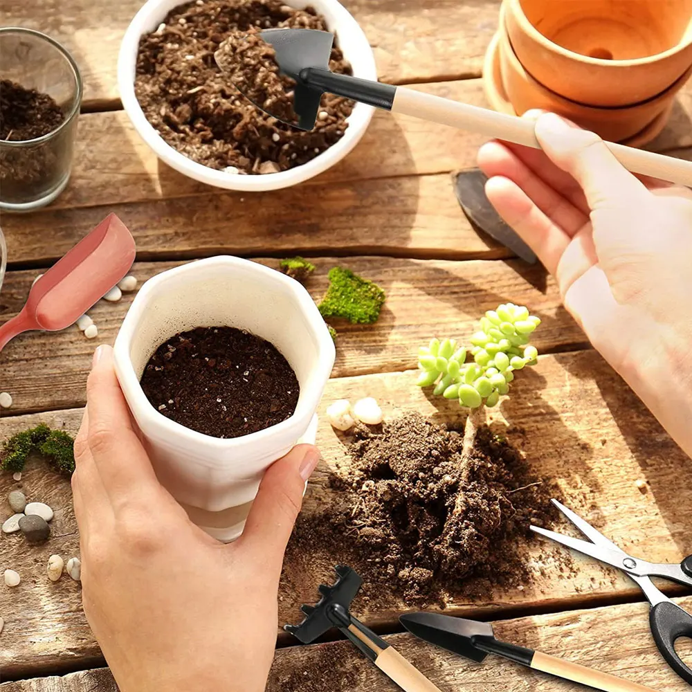다육 식물 도구 세트, 실내 식물 가정 정원 키트, 검 - Indoor Garden Kit 리뷰 및 가격