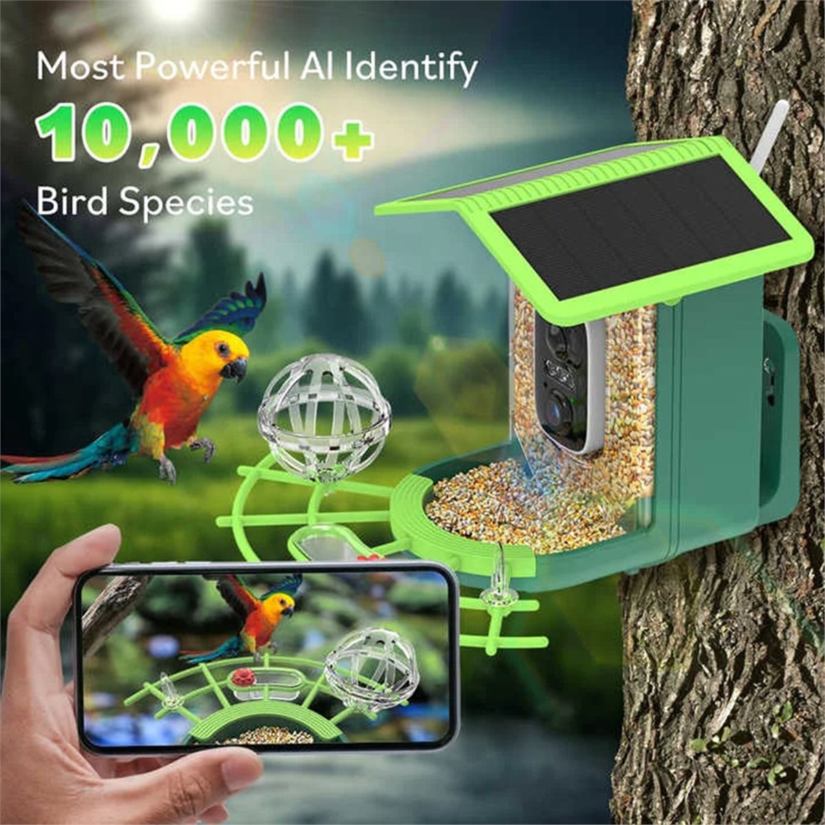 AI 종 식별 기능이 있는 ABPP 스마트 새 모이통  - Garden Camera 리뷰 및 가격