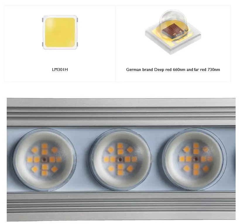 코레이 900W 실내용 풀 스펙트럼 식물등 LED 스트 - Grow Light Led 리뷰 및 가격