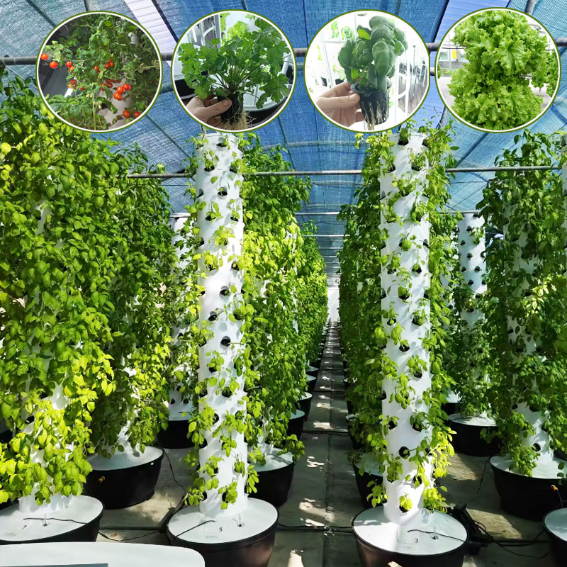 리네 에어로포닉 수직 재배 농법 수경재배 수직 타워 가 - Hydroponic Tower 리뷰 및 가격