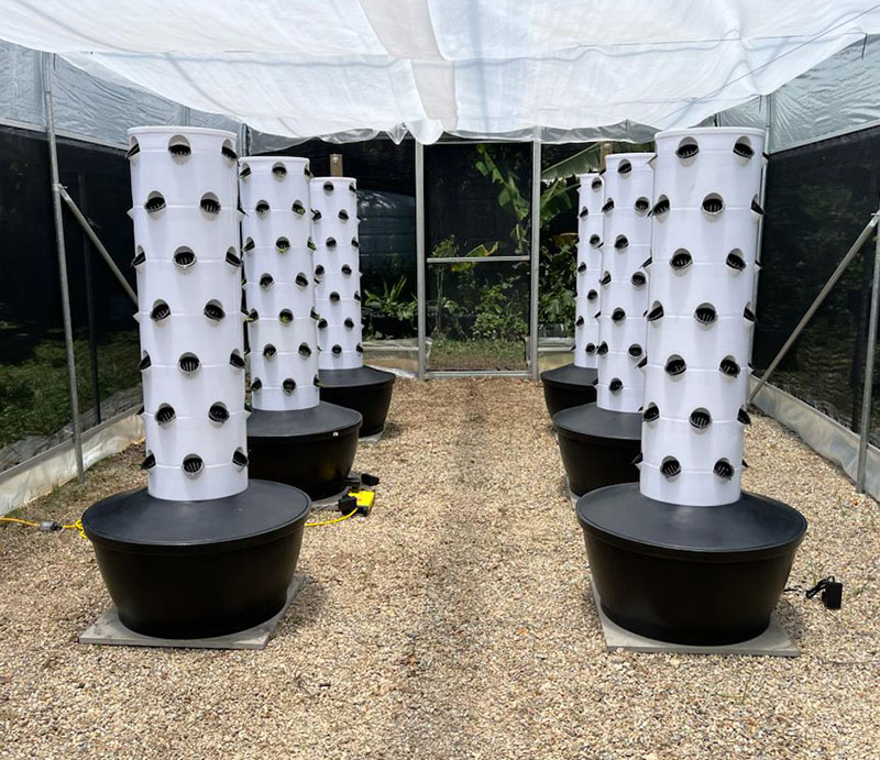 리네 에어로포닉 수직 재배 농법 수경재배 수직 타워 가 - Hydroponic Tower 리뷰 및 가격