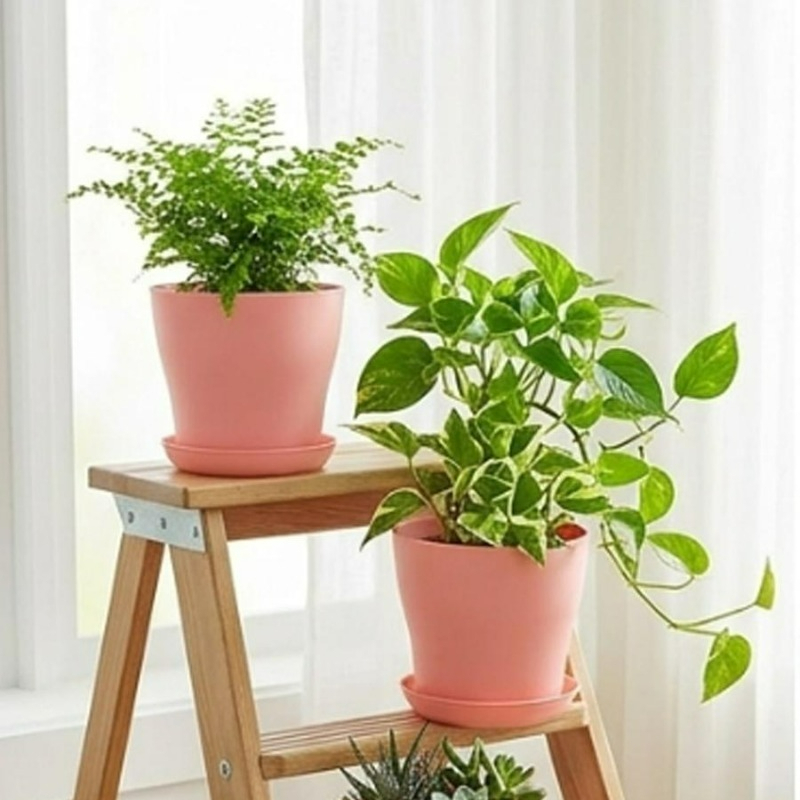 배수구와 어울리는 받침대가 있는 화분 세트, PP 레진 - Indoor Garden Kit 리뷰 및 가격